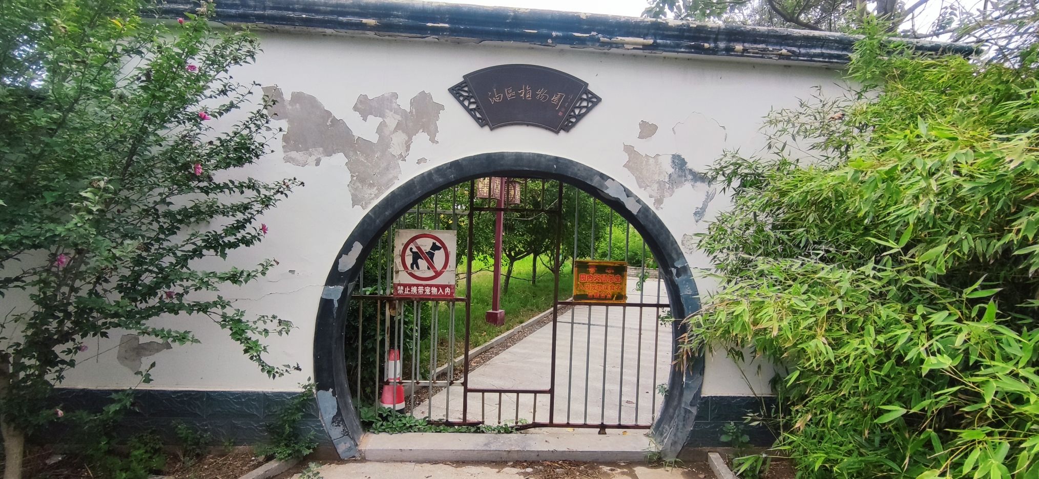 油区植物园旅行图片 1