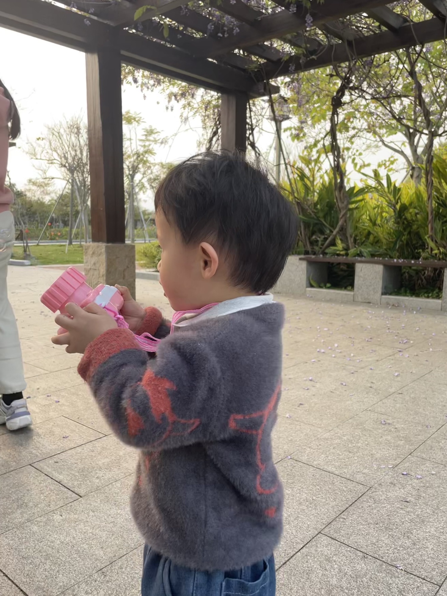 霞东公园旅行图片 3