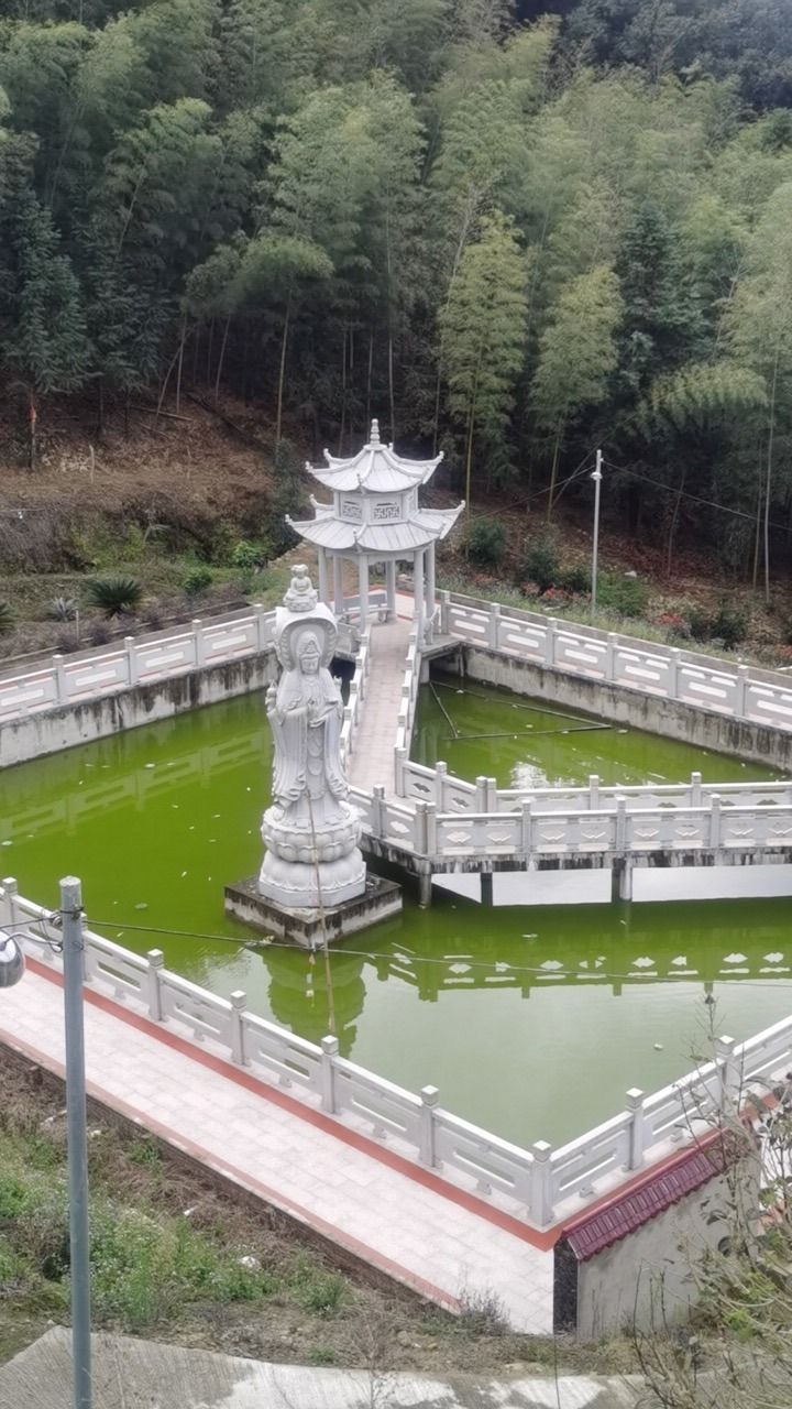 金台寺实景照片