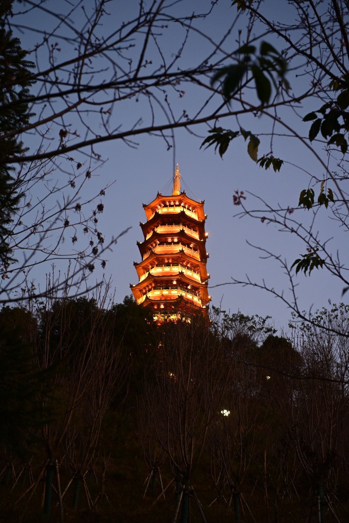 文昌塔旅行图片 2