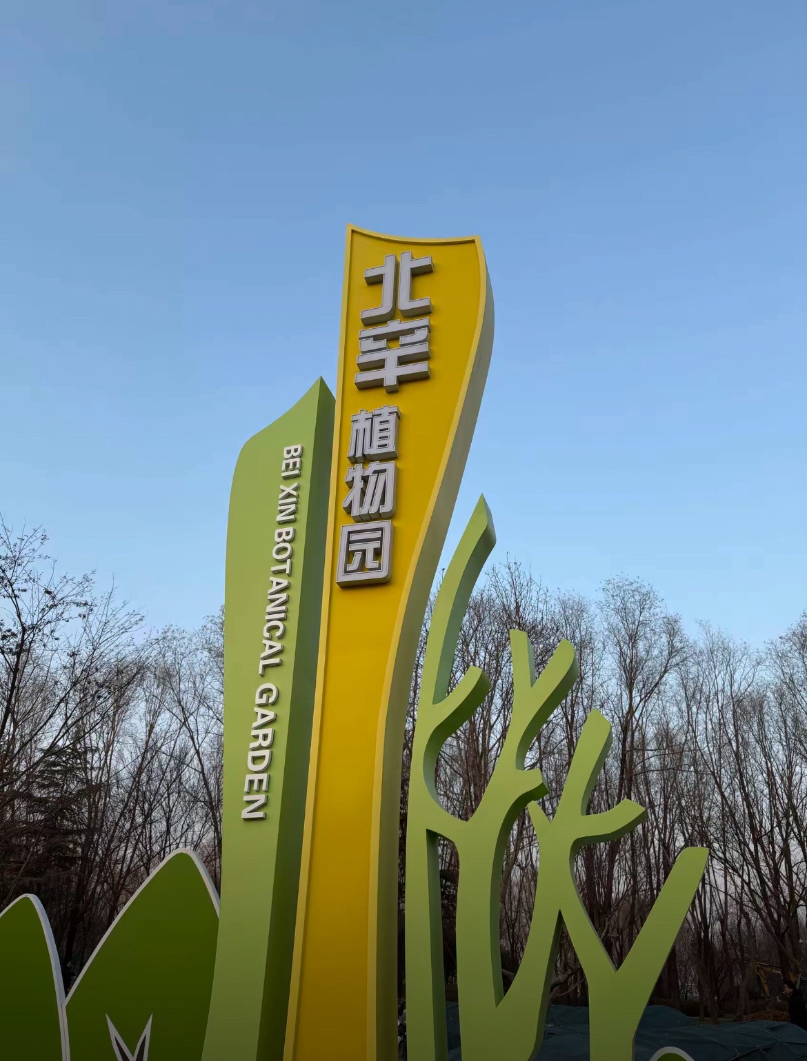 滕州市北辛植物园旅行图片 1