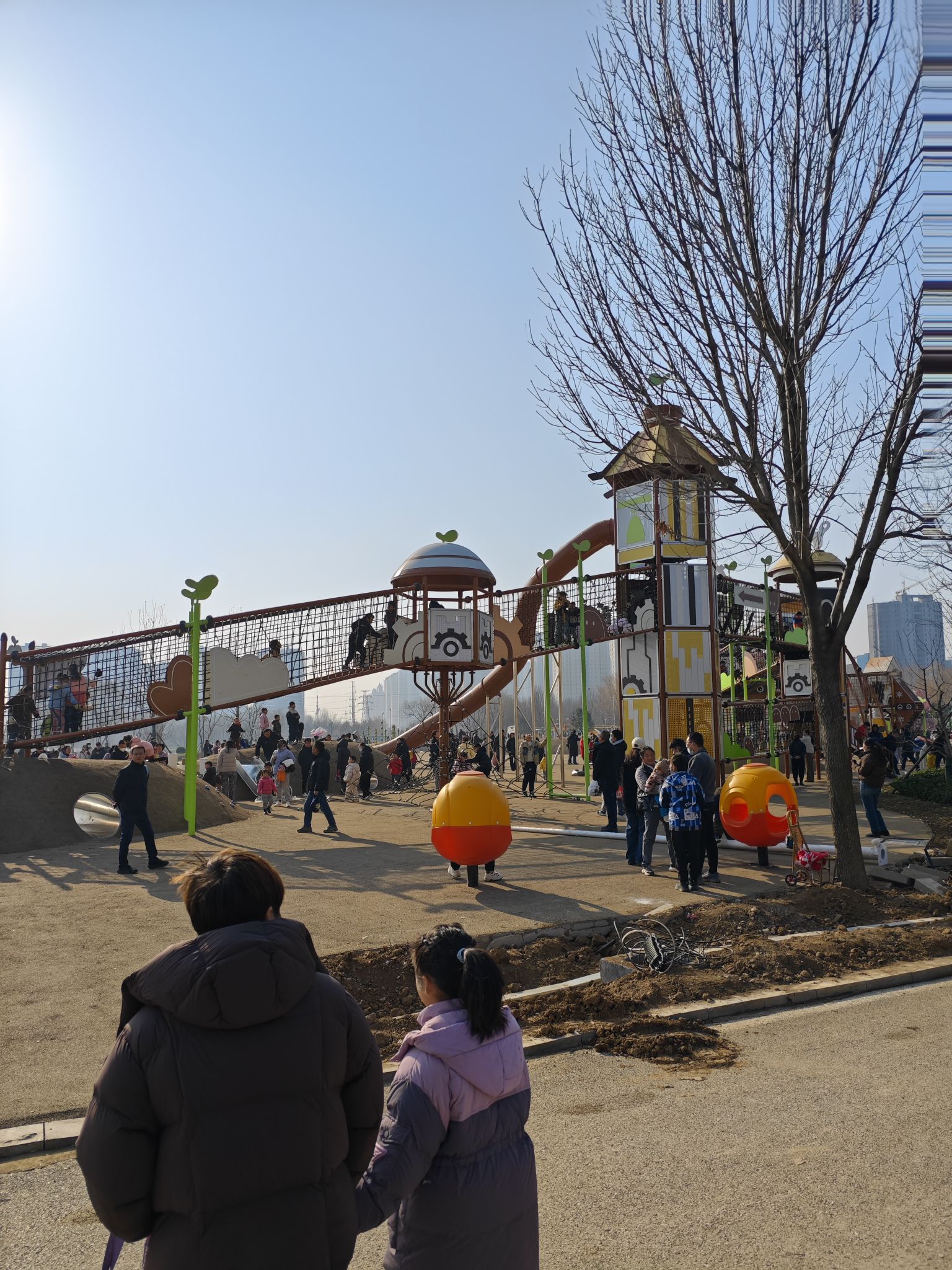 滕州市北辛植物园旅行图片 1
