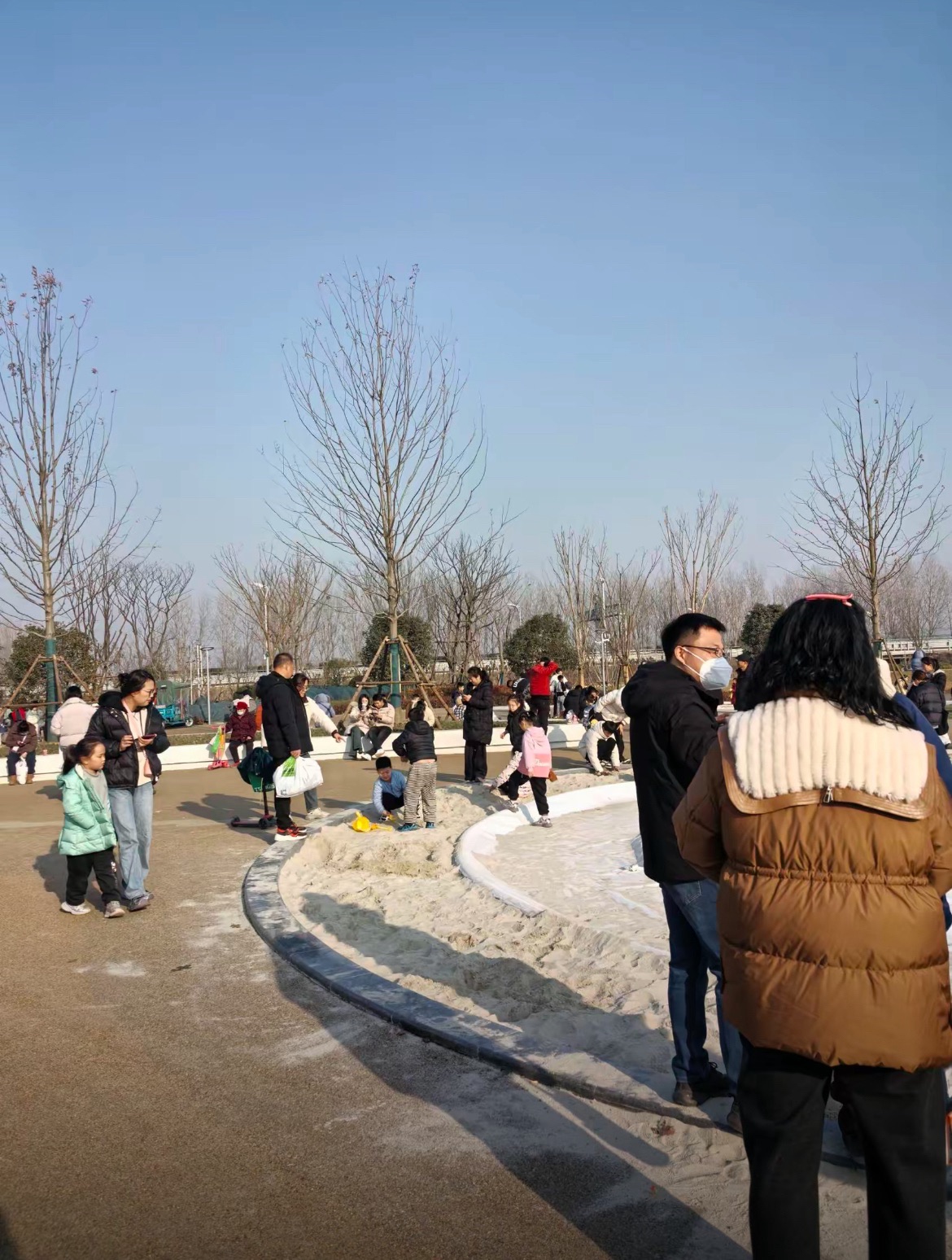 滕州市北辛植物园旅行图片 3