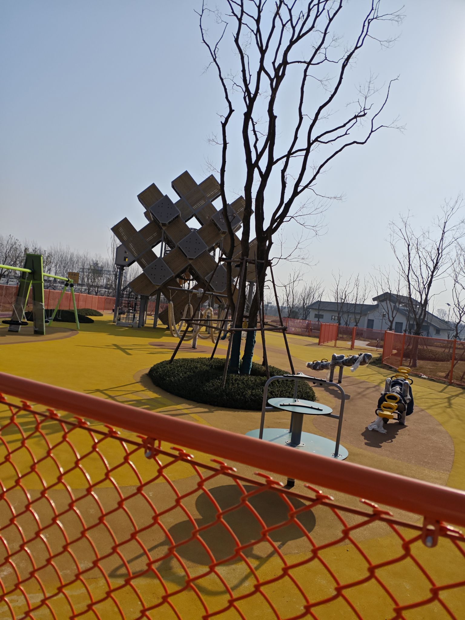 滕州市北辛植物园旅行图片 2
