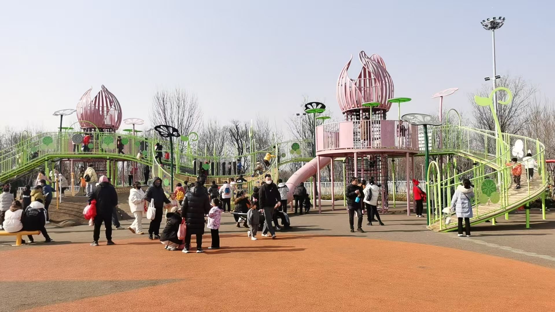 滕州市北辛植物园旅行图片 3