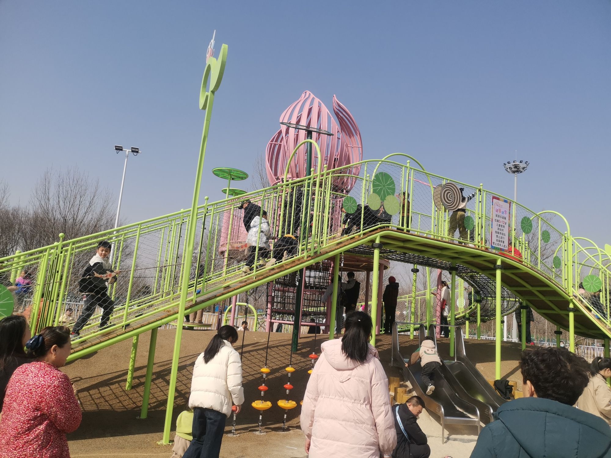 滕州市北辛植物园旅行图片 3