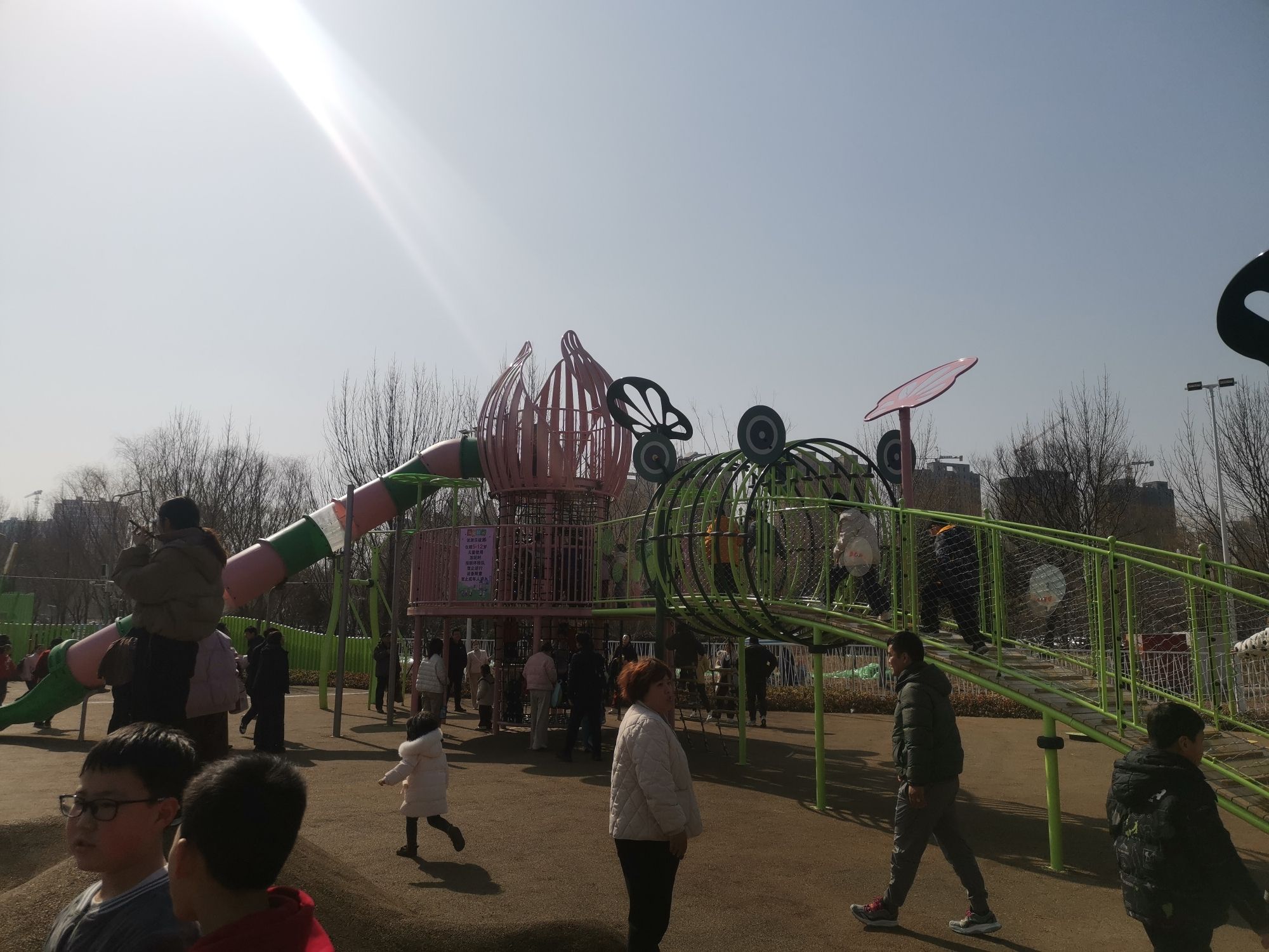 滕州市北辛植物园旅行图片 2