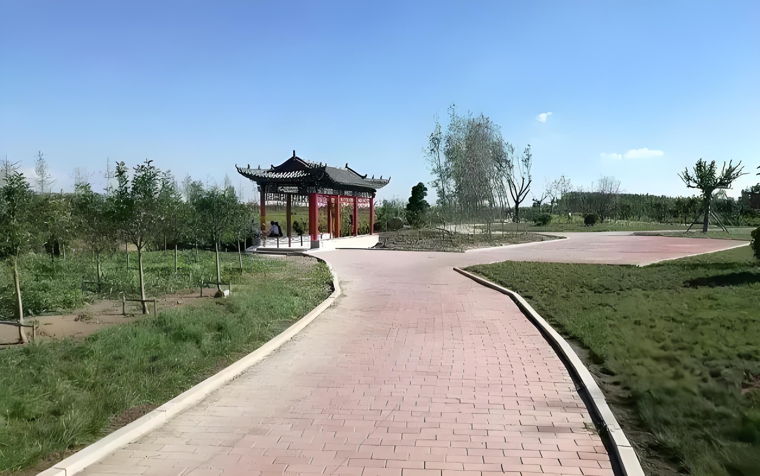 胶河国家湿地公园旅行图片 3
