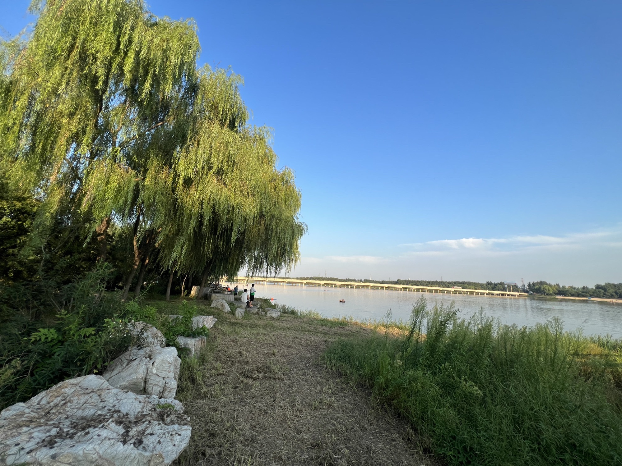 胶河国家湿地公园旅行图片 2