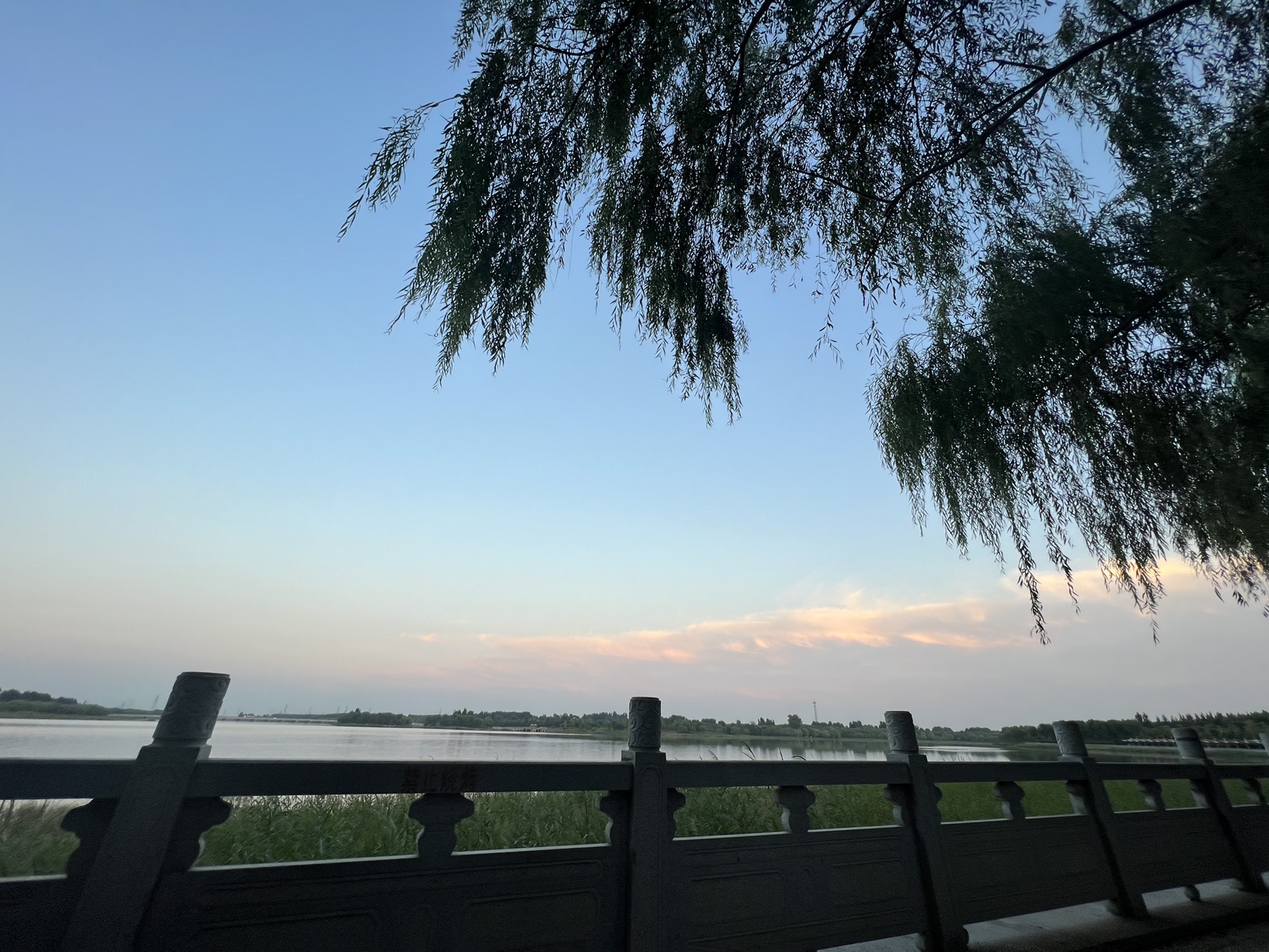 胶河国家湿地公园旅行图片 3