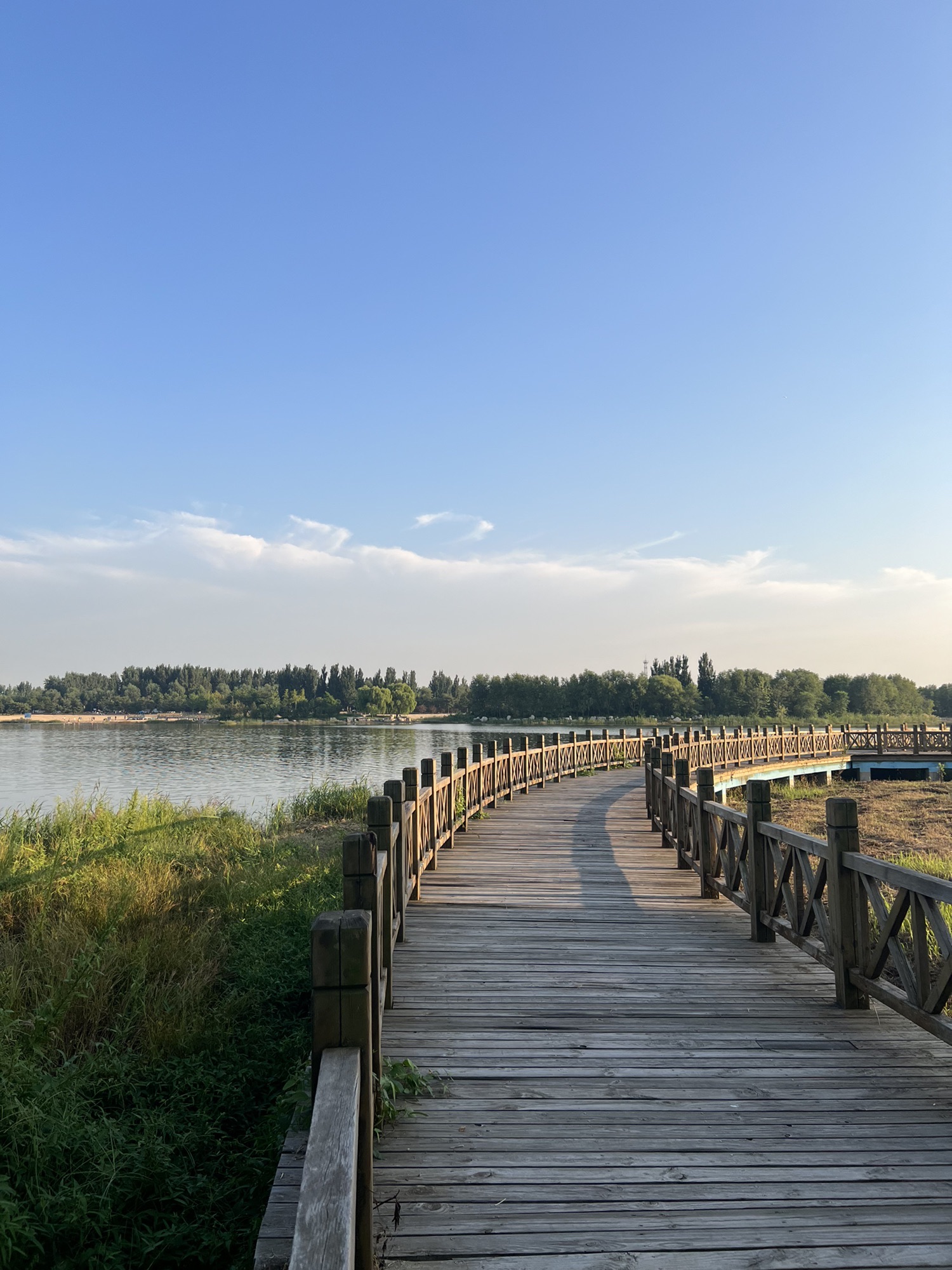 胶河国家湿地公园旅行图片 1