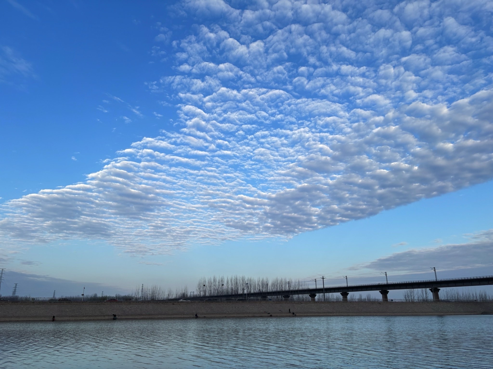 胶河国家湿地公园旅行图片 2