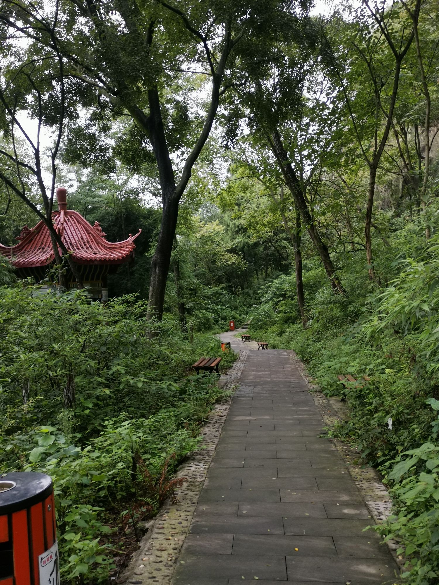 金城山顶公园旅行图片 2