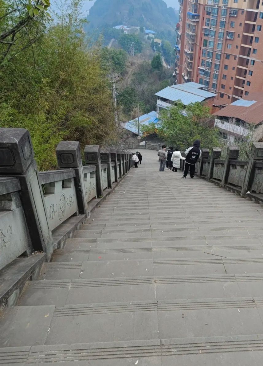 金城山顶公园旅行图片 1