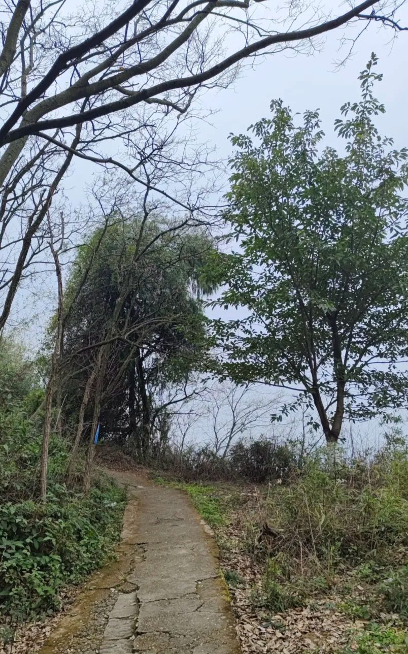 金城山顶公园旅行图片 2