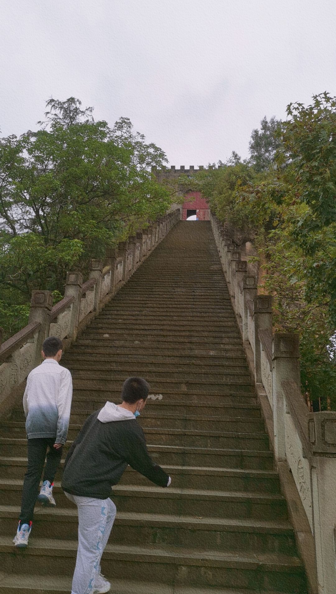 金城山顶公园旅行图片 3