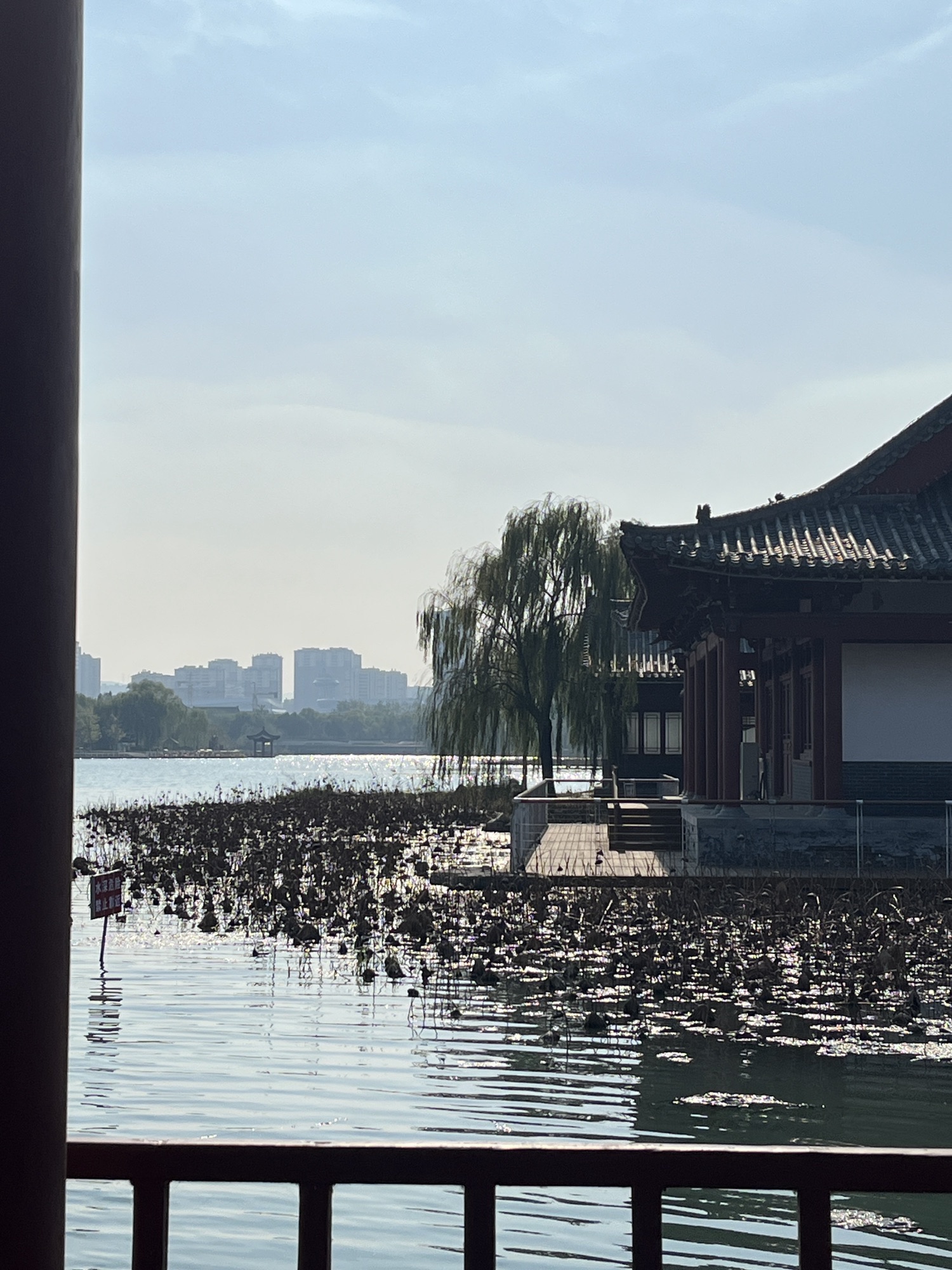 绣江河公园旅行图片 3