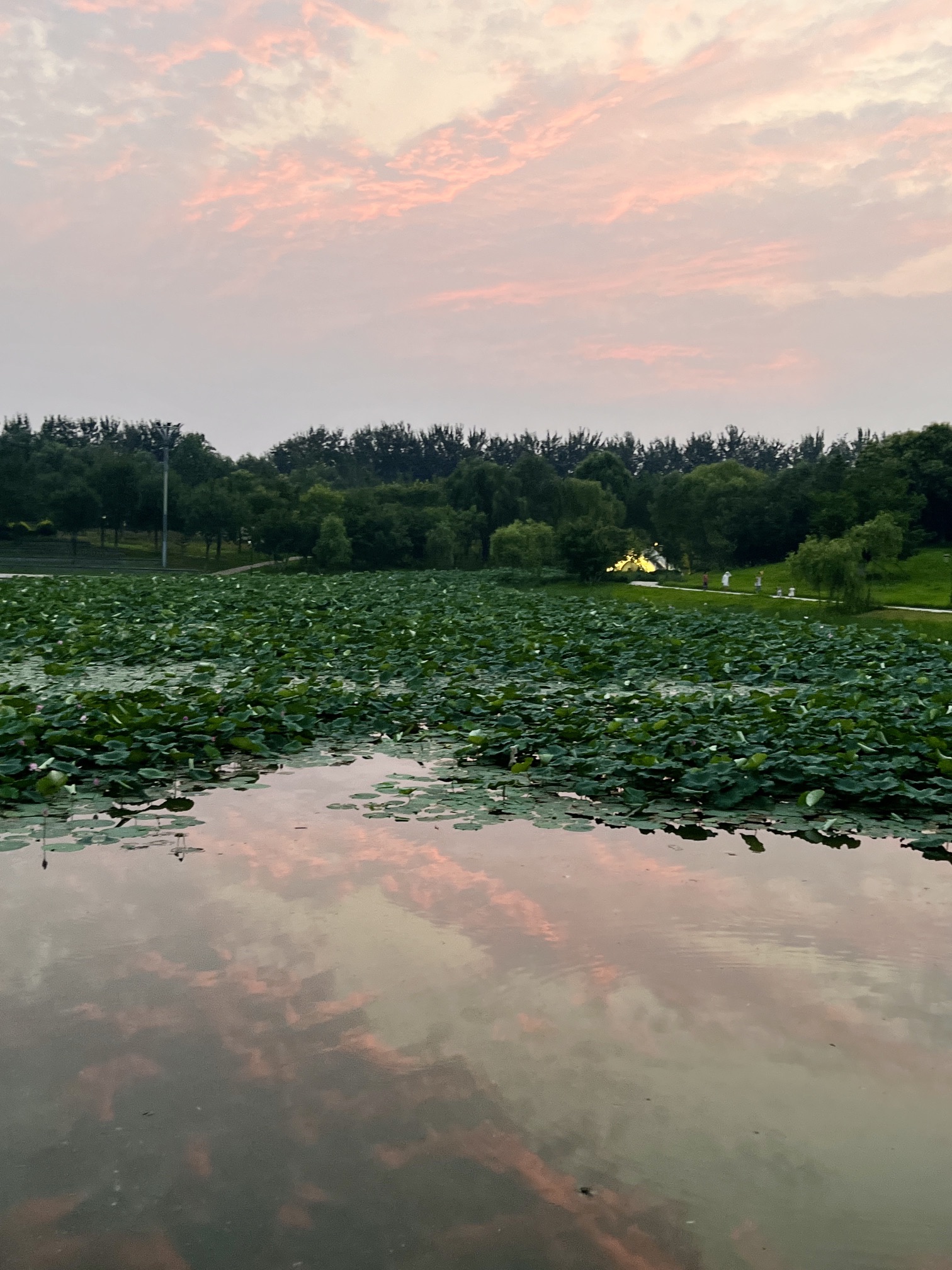 绣江河公园旅行图片 3