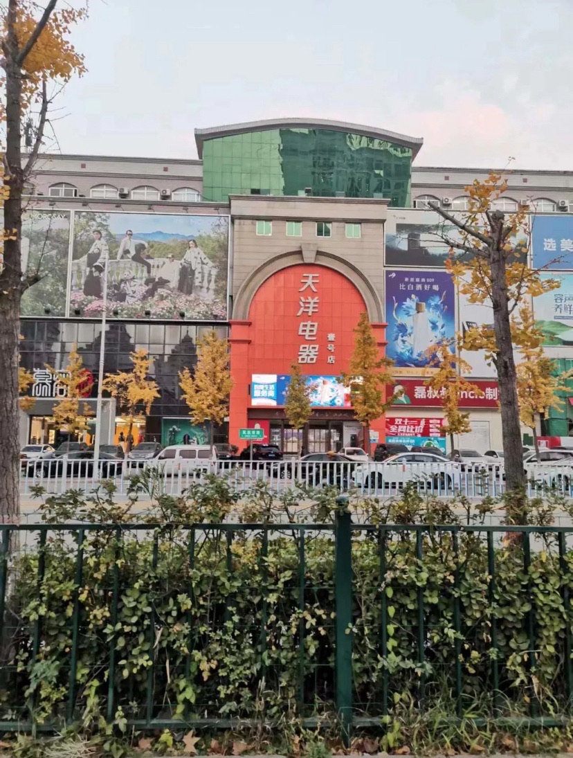 天洋电器(壹号店)