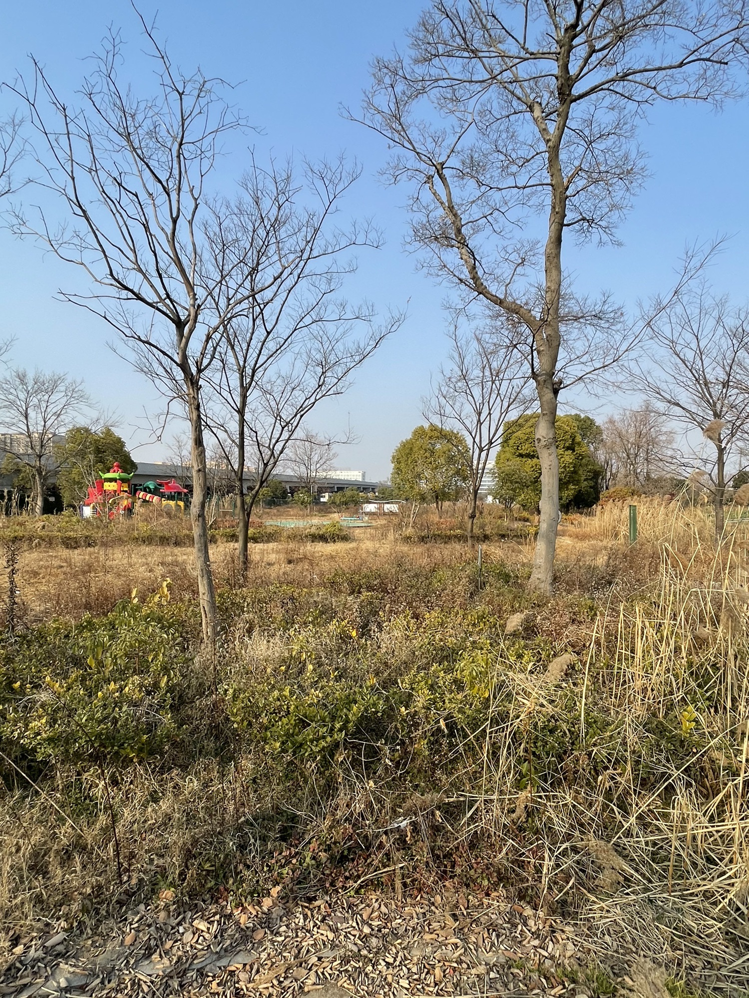 平安法治公园旅行图片 2