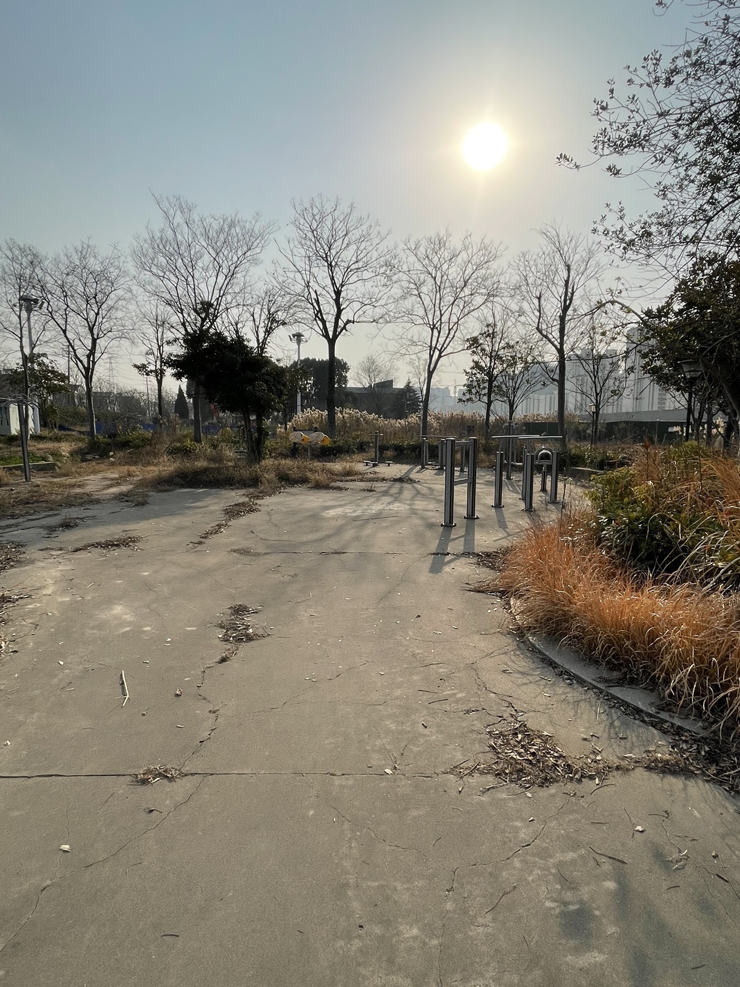 平安法治公园旅行图片 1
