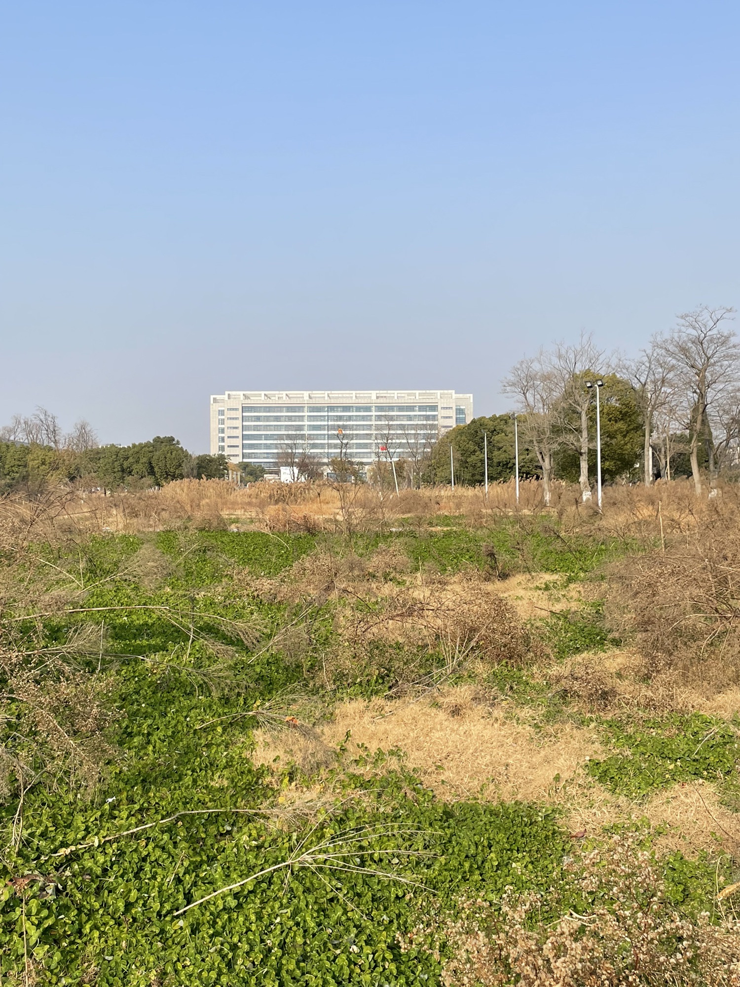 平安法治公园旅行图片 3