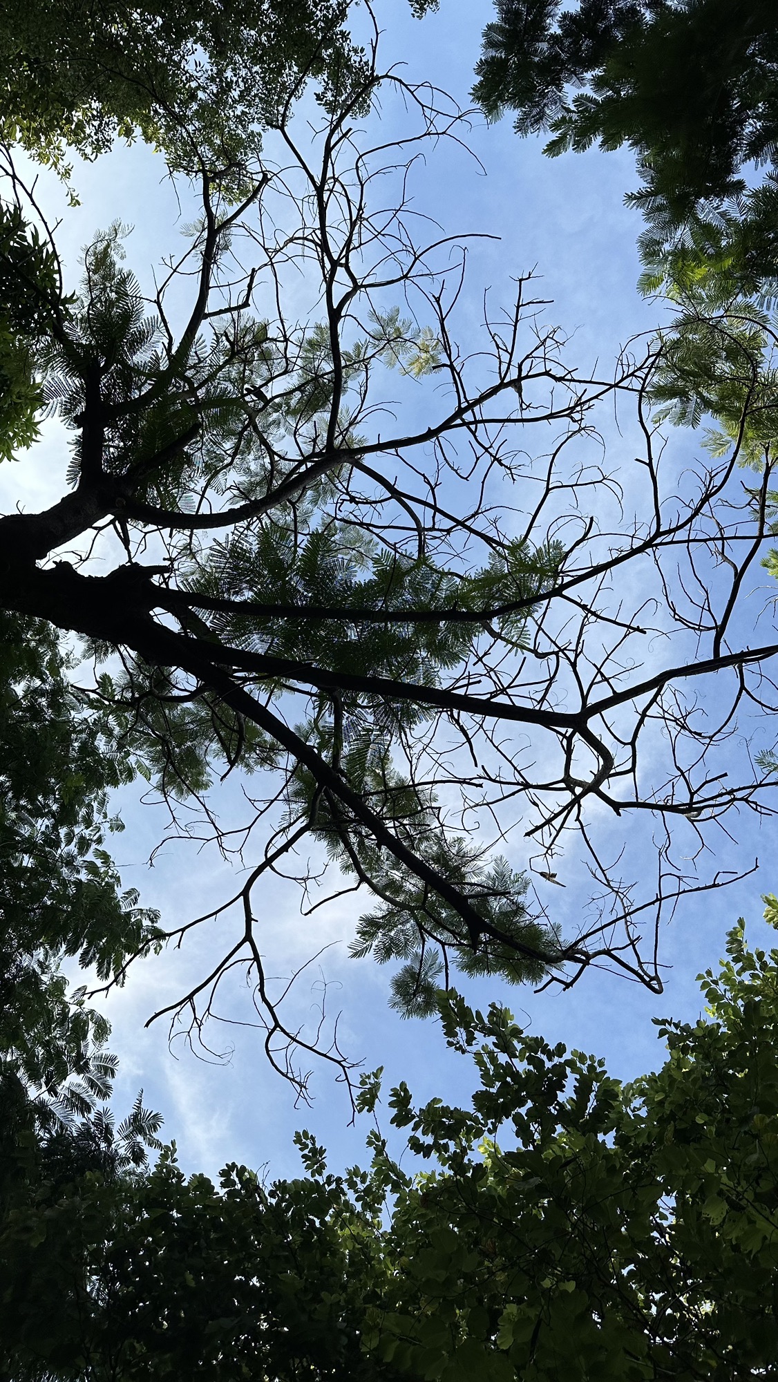 长乐公园旅行图片 2