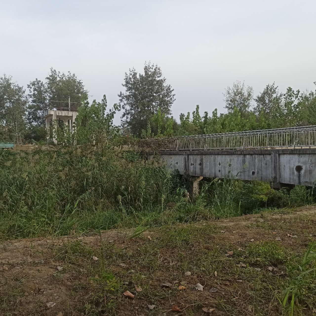 坡沟野旅行图片 2