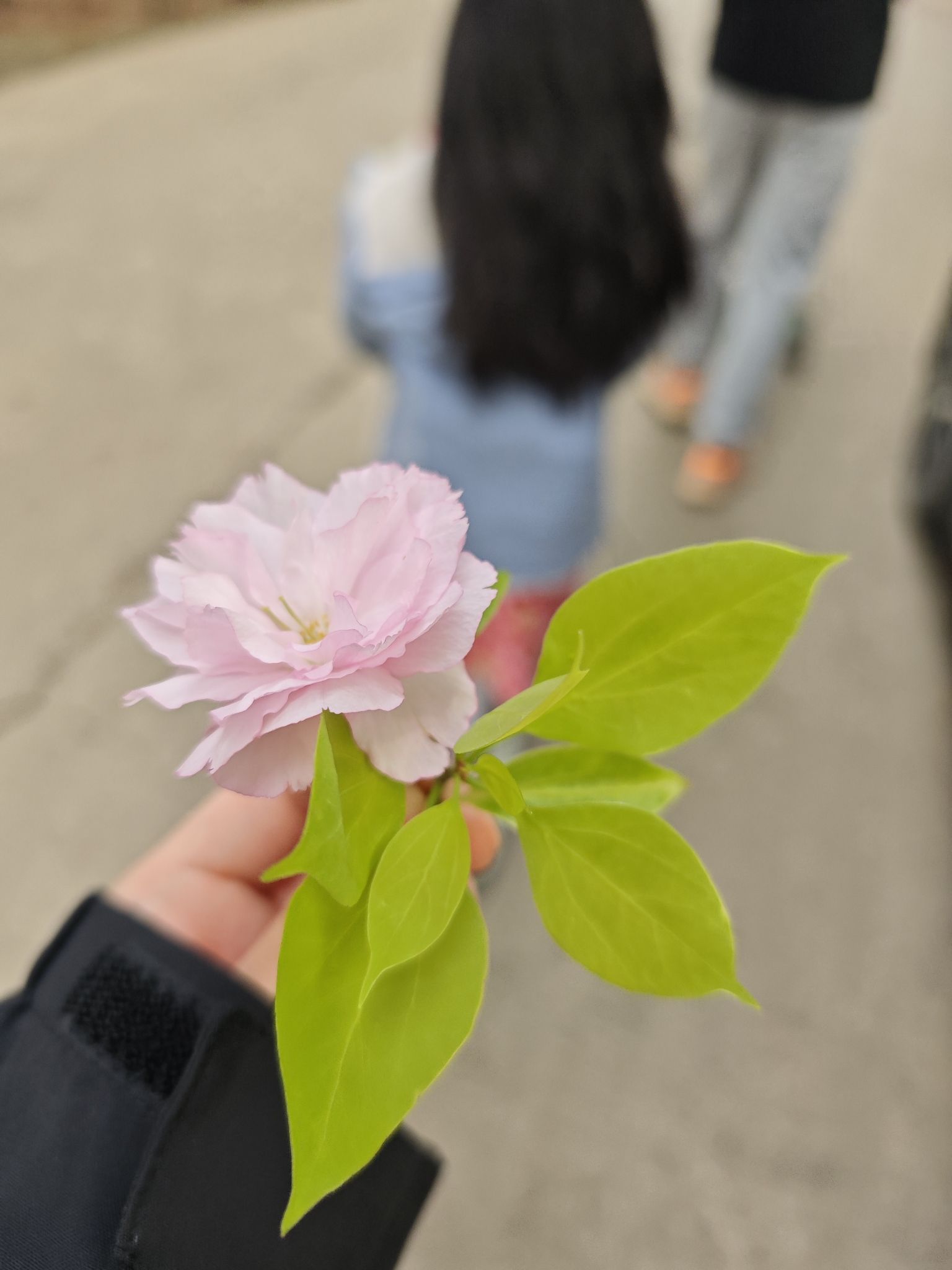 阳澄湖镇市民运动公园旅行图片 2