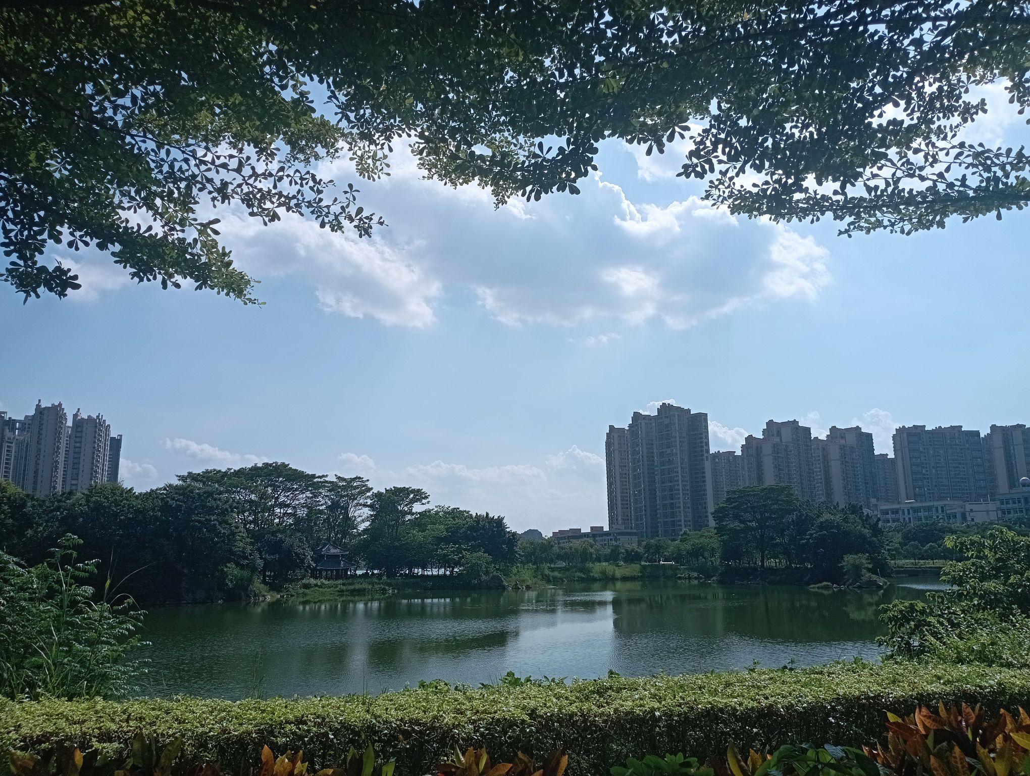 东湖公园旅行图片 3