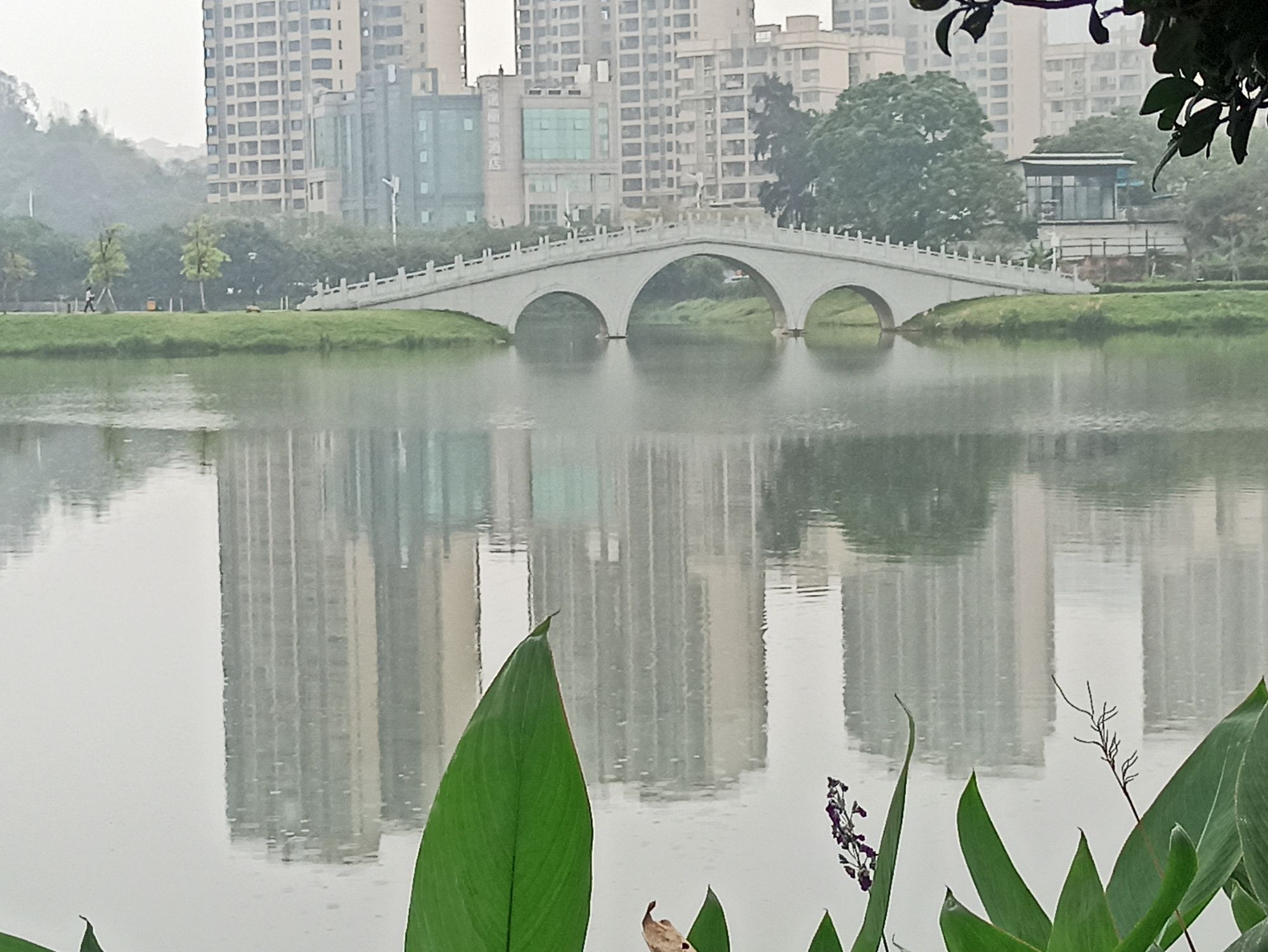 东湖公园旅行图片 3