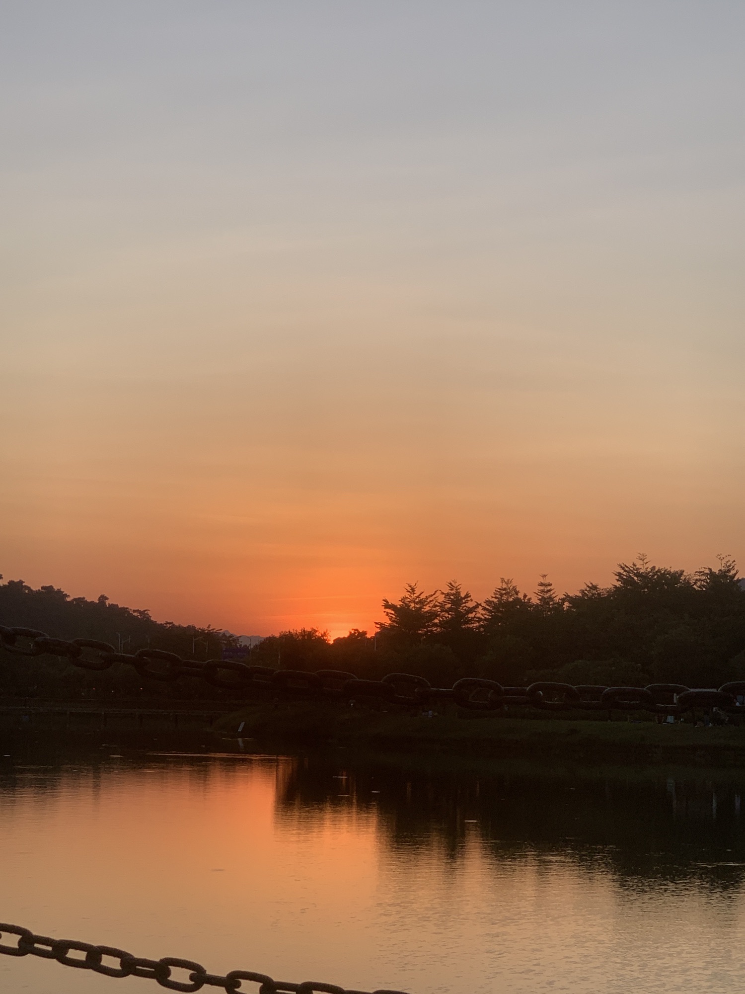 东湖公园旅行图片 3