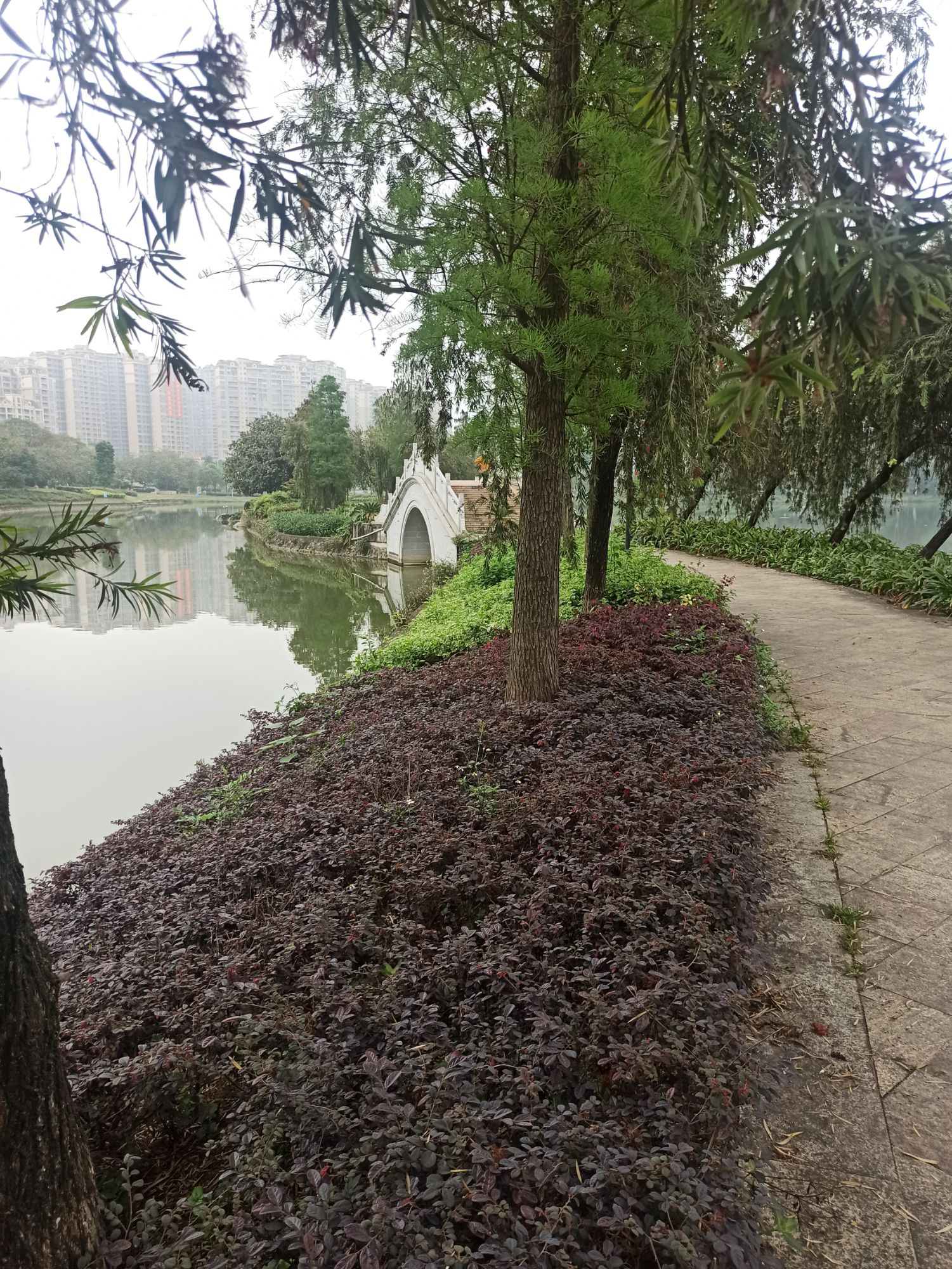 东湖公园旅行图片 1