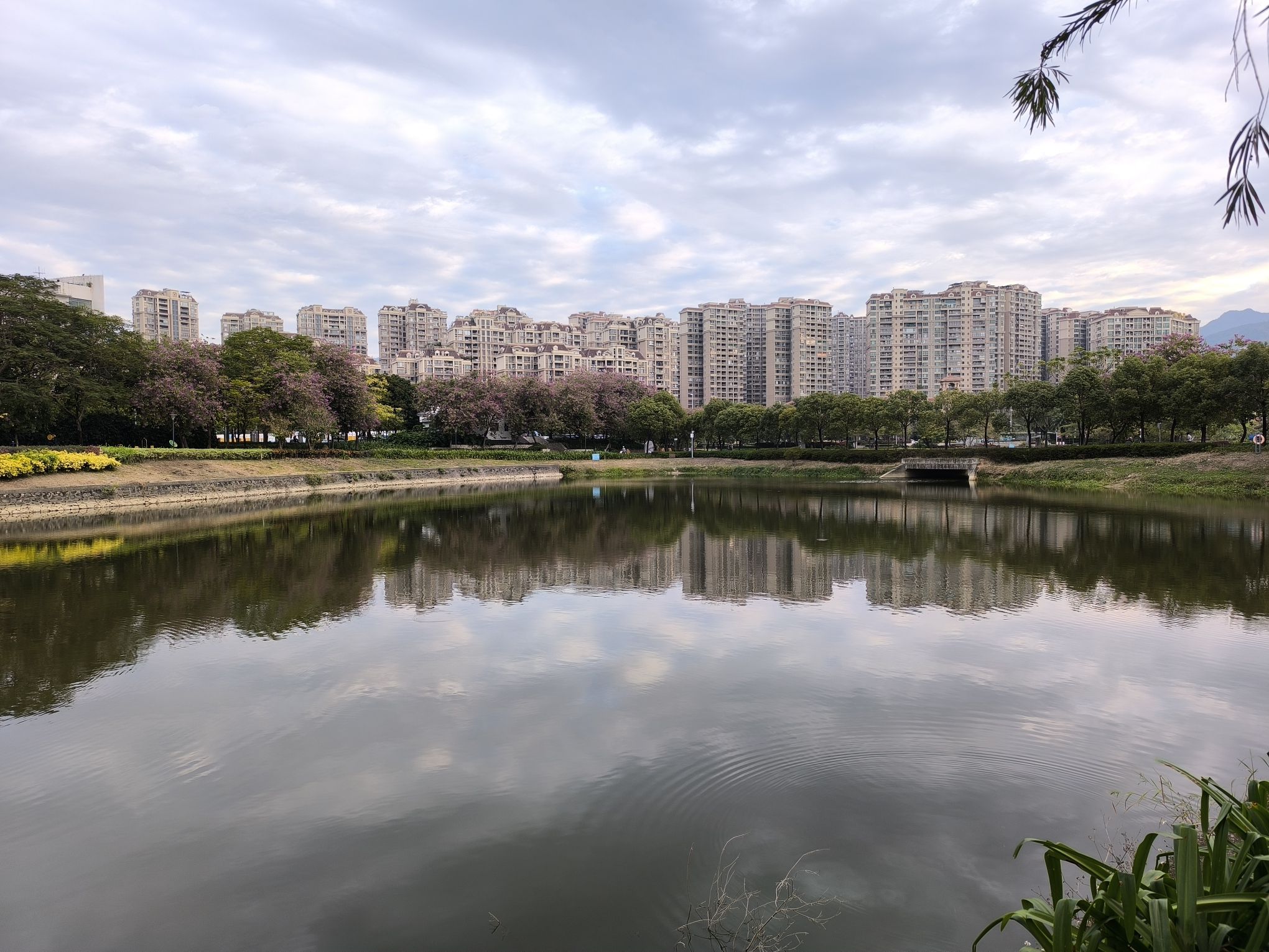 东湖公园旅行图片 2