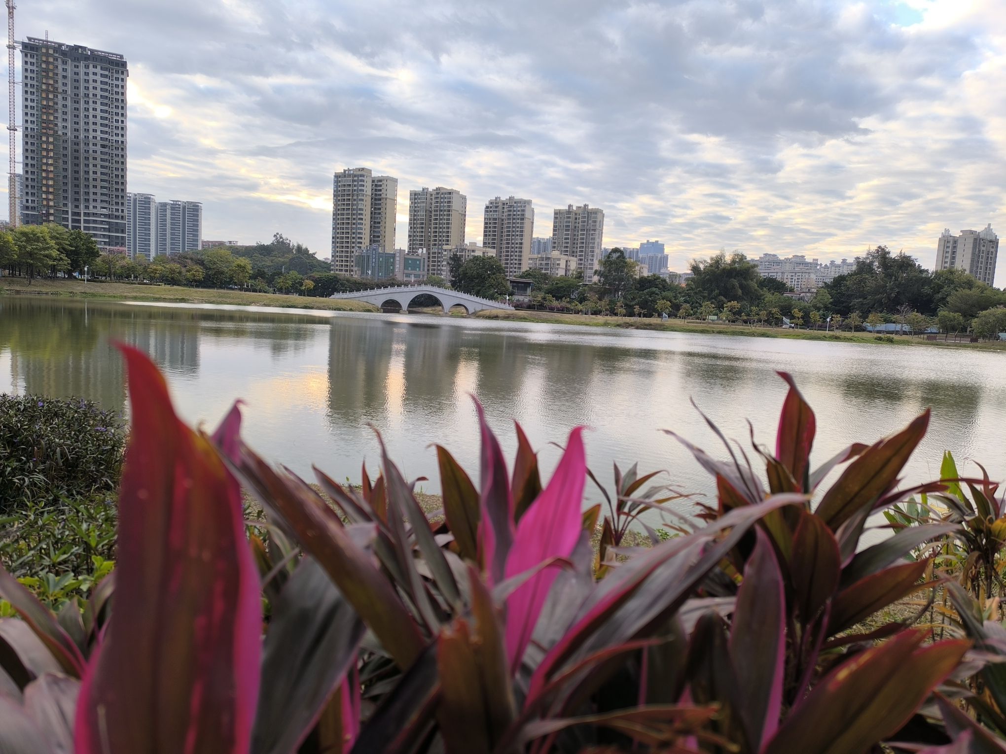 东湖公园旅行图片 1