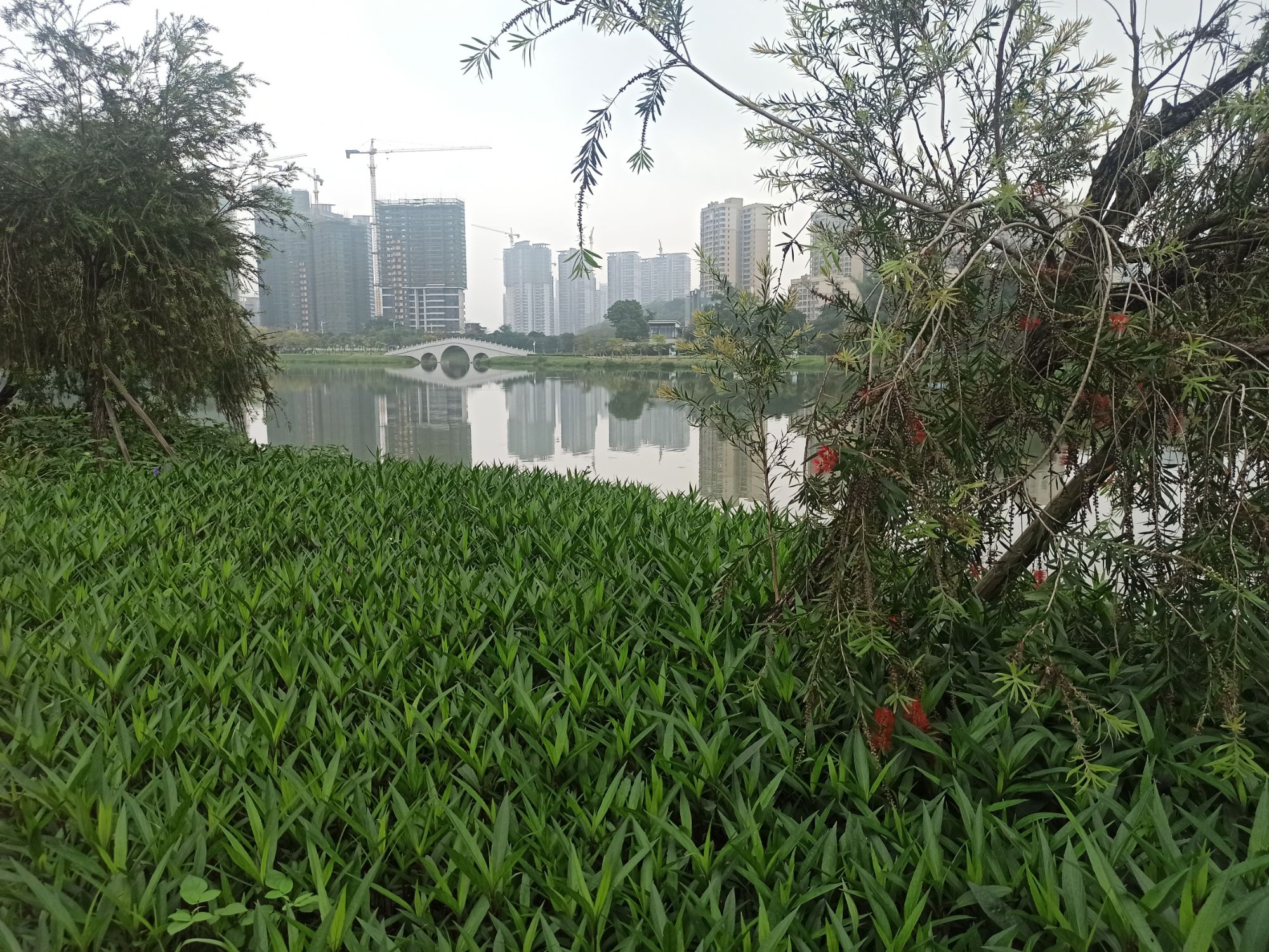 东湖公园旅行图片 2