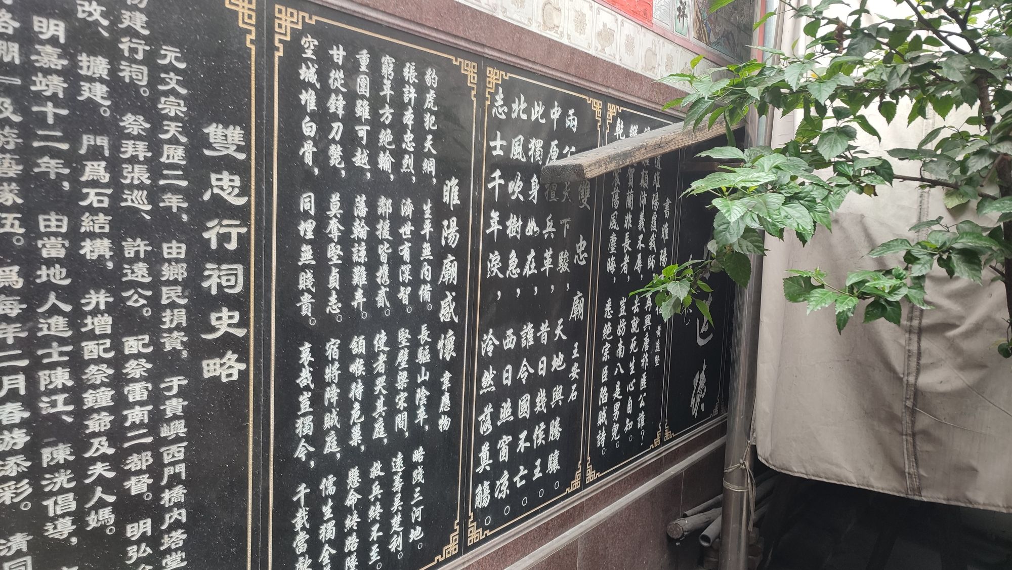 双忠行祠旅行图片 1