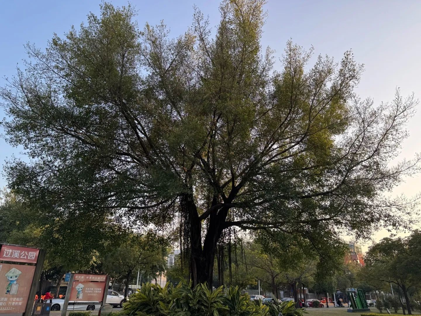 过溪公园旅行图片 3