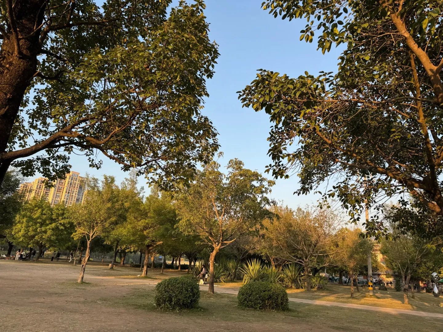 过溪公园旅行图片 2