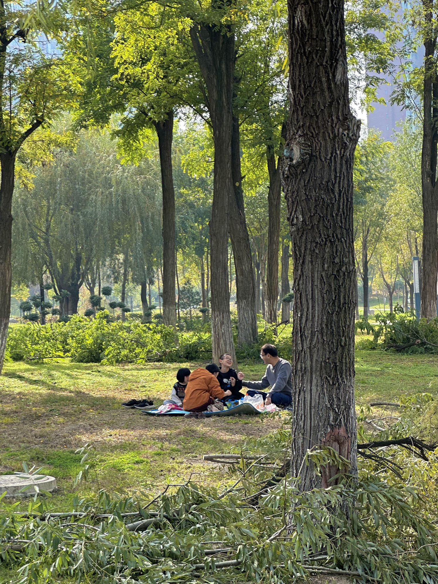 禹都公园旅行图片 2