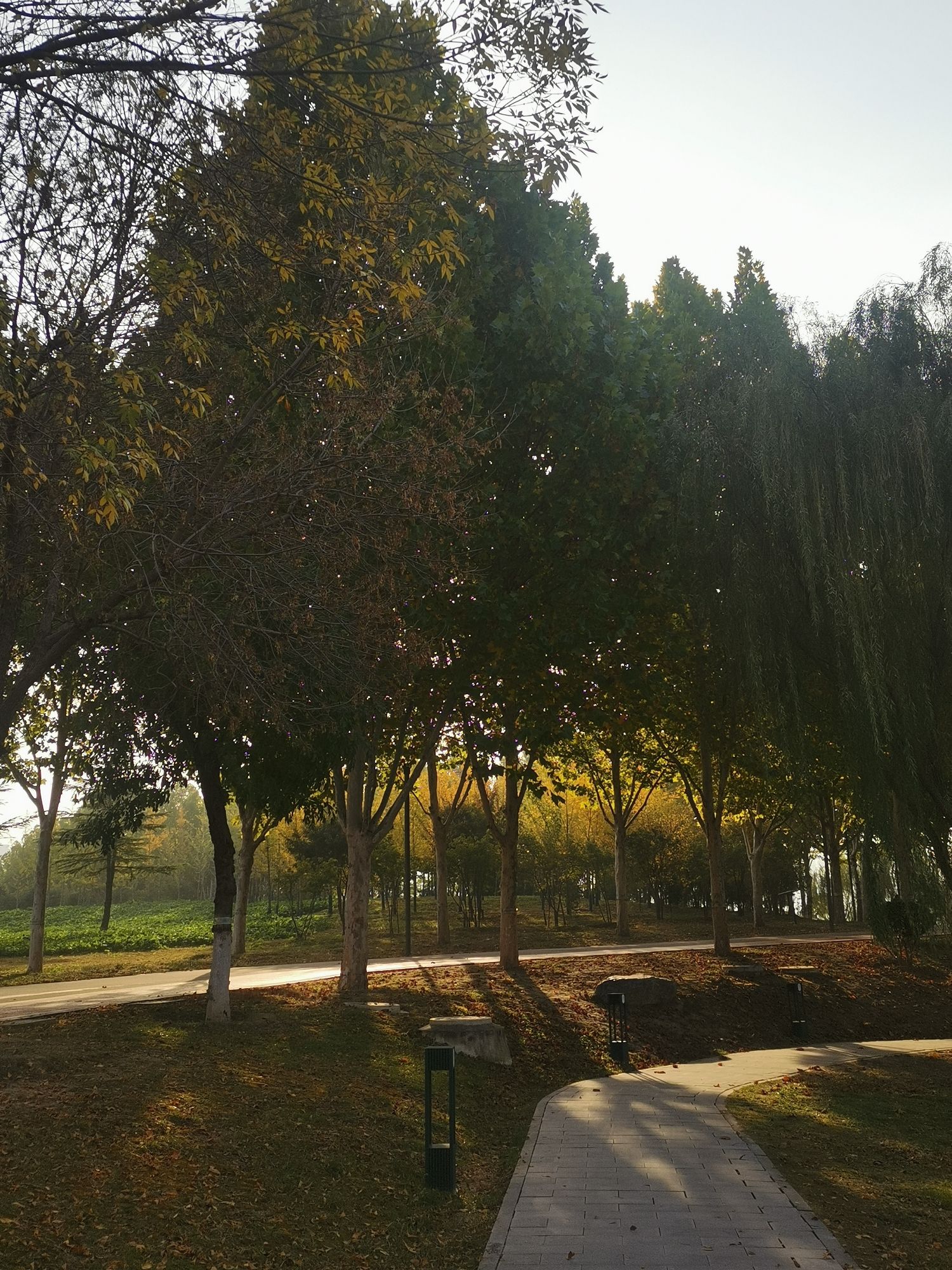 禹都公园旅行图片 3