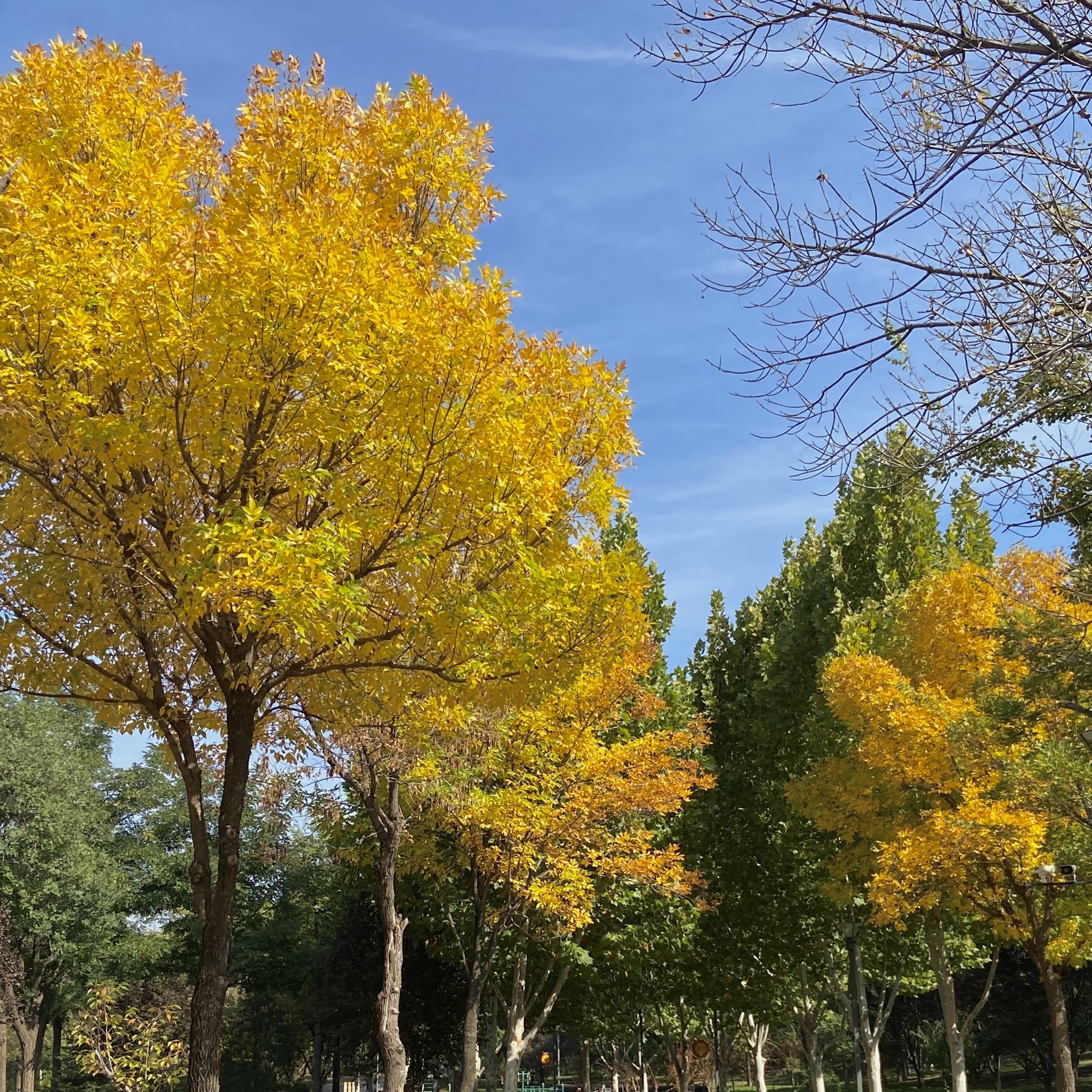 禹都公园旅行图片 3