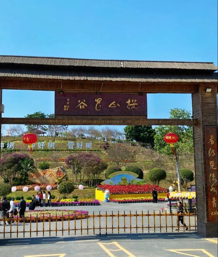 樱山花谷旅行图片 1