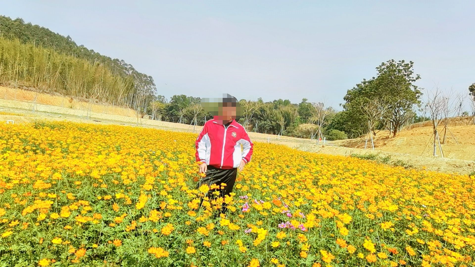樱山花谷旅行图片 3