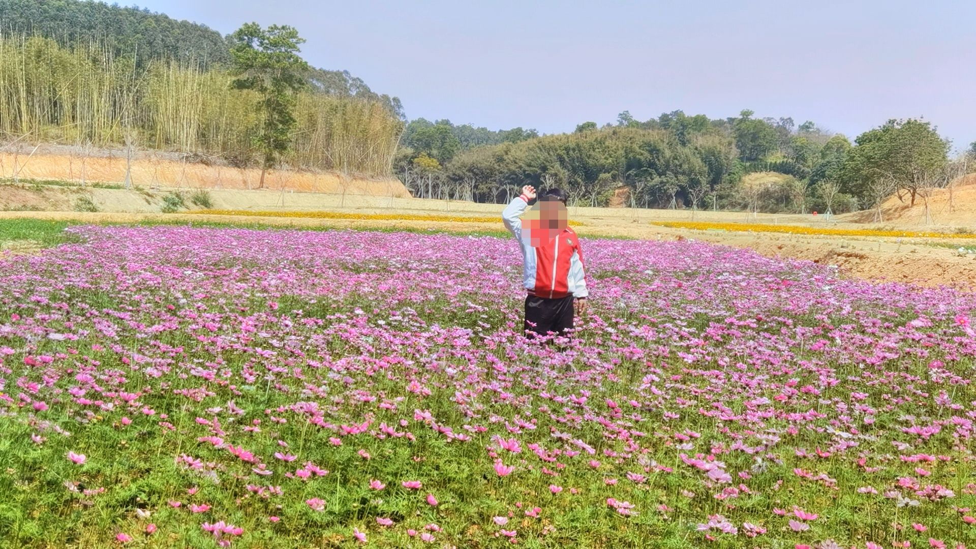 樱山花谷旅行图片 1