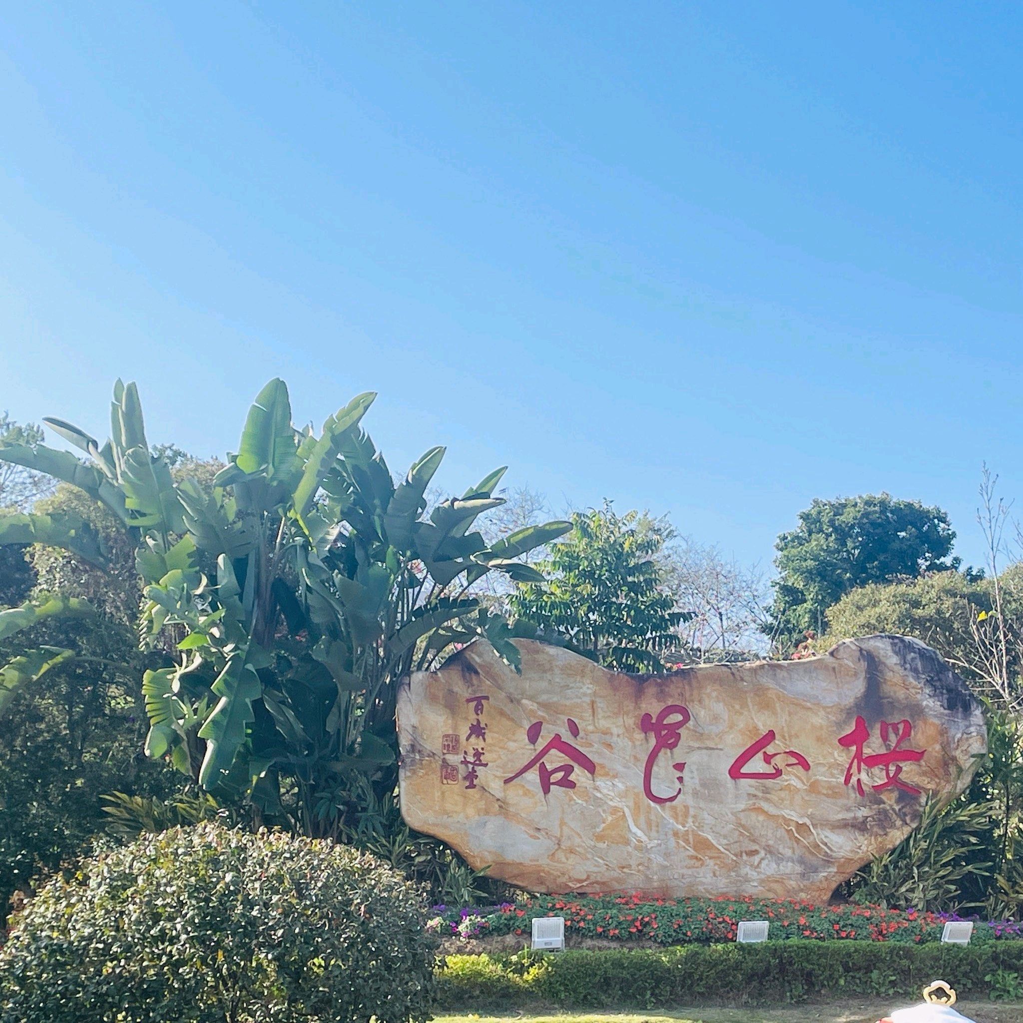 樱山花谷旅行图片 3