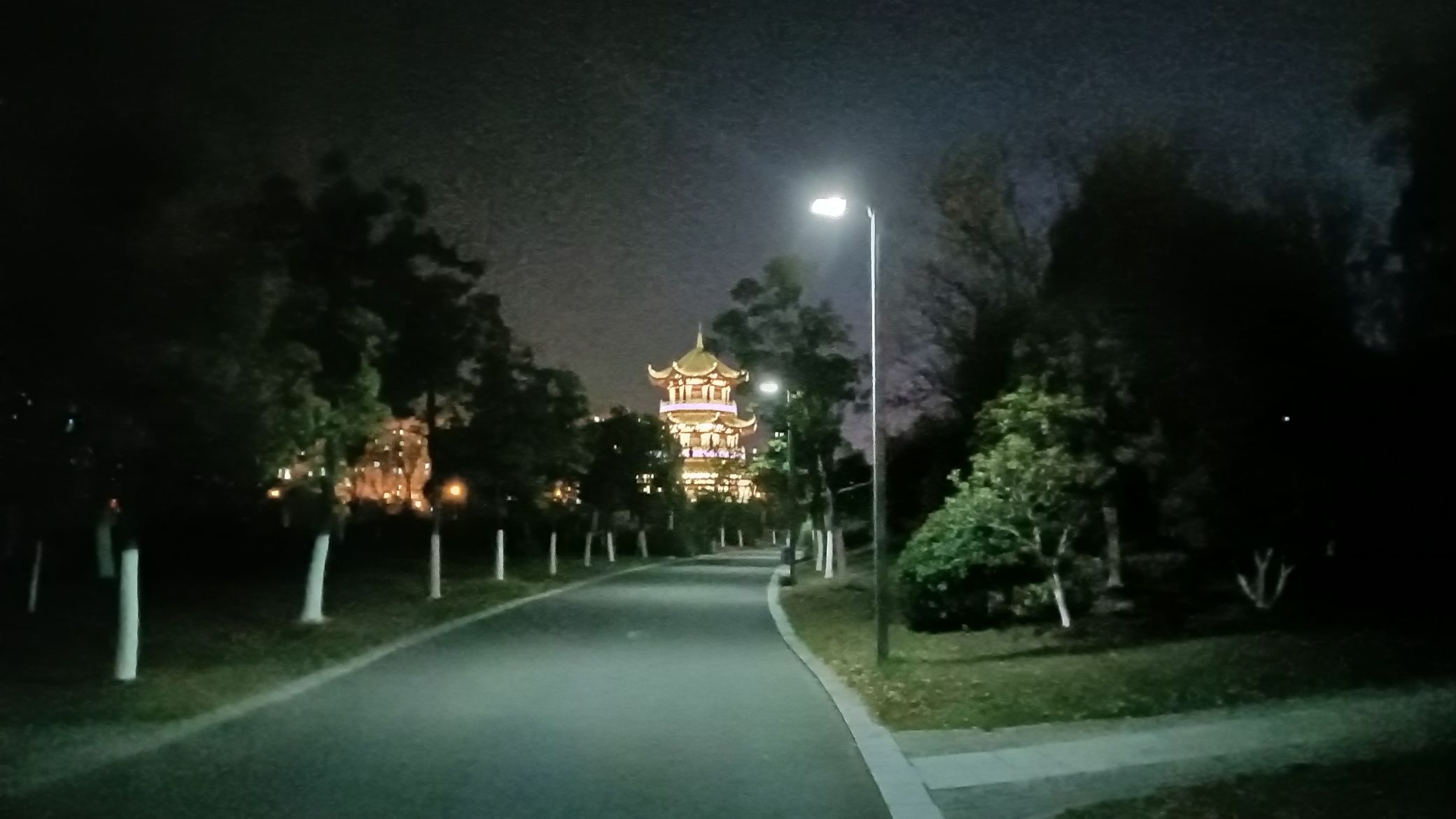 城东公园旅行图片 2