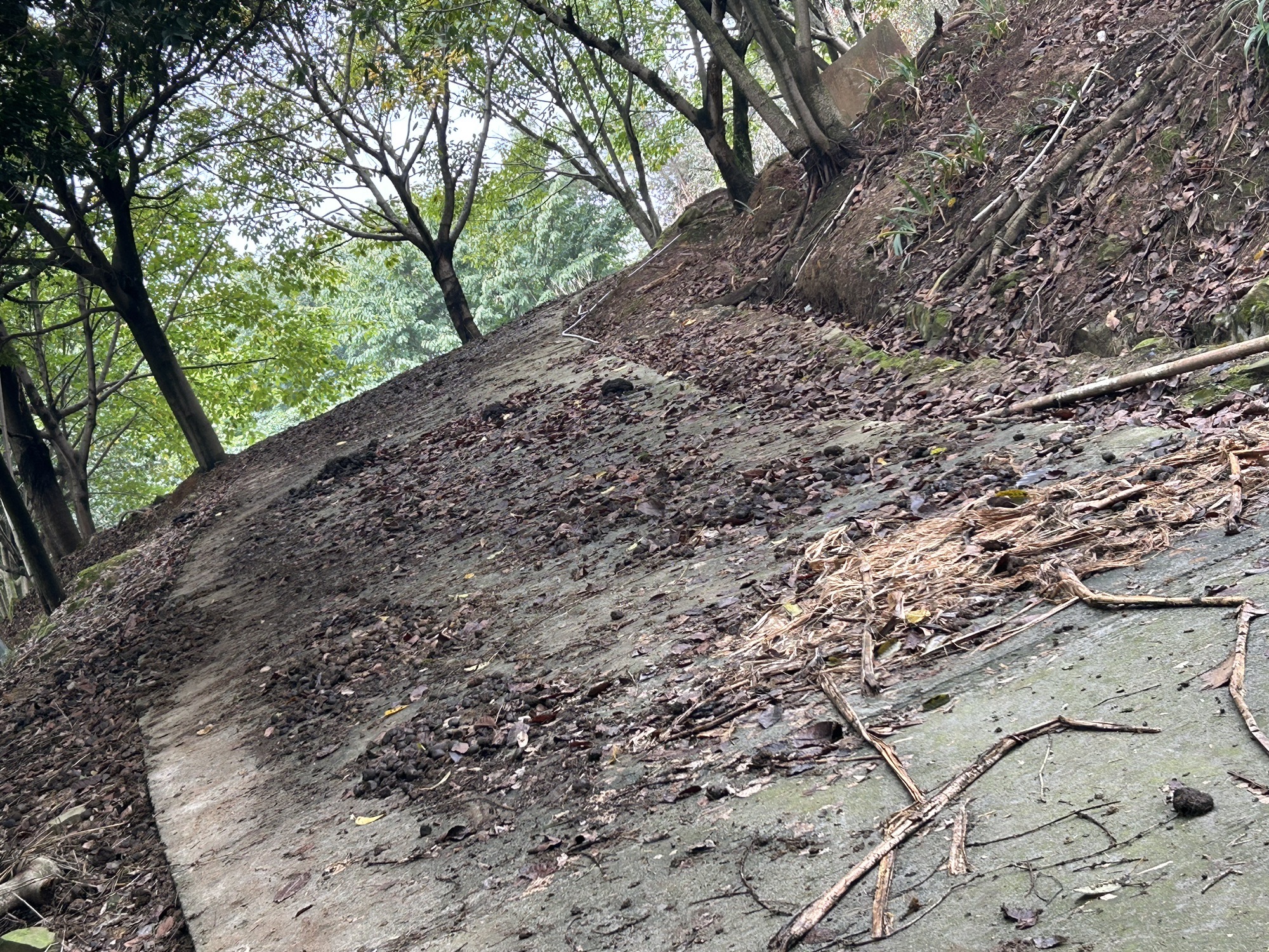 川东生态动物园旅行图片 1