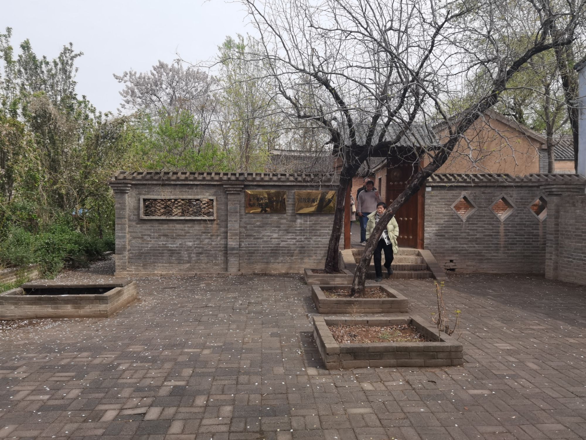邓丽君祖居旅行图片 1