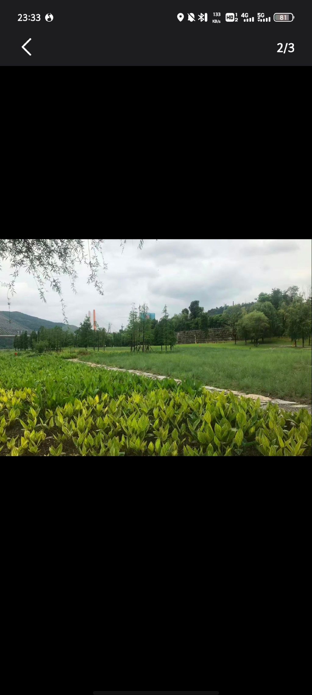塔沱湿地公园旅行图片 1